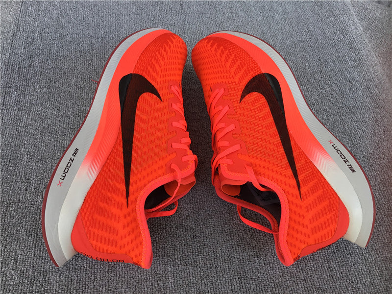 Nike Pegasus Turbo 2