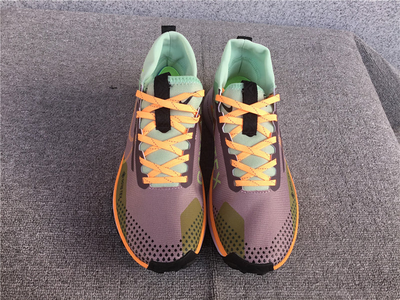 Nike Pegasus Trail 4 - Gore-tex