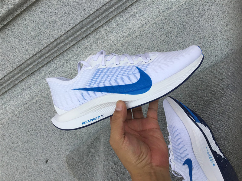 Nike Pegasus Turbo 2