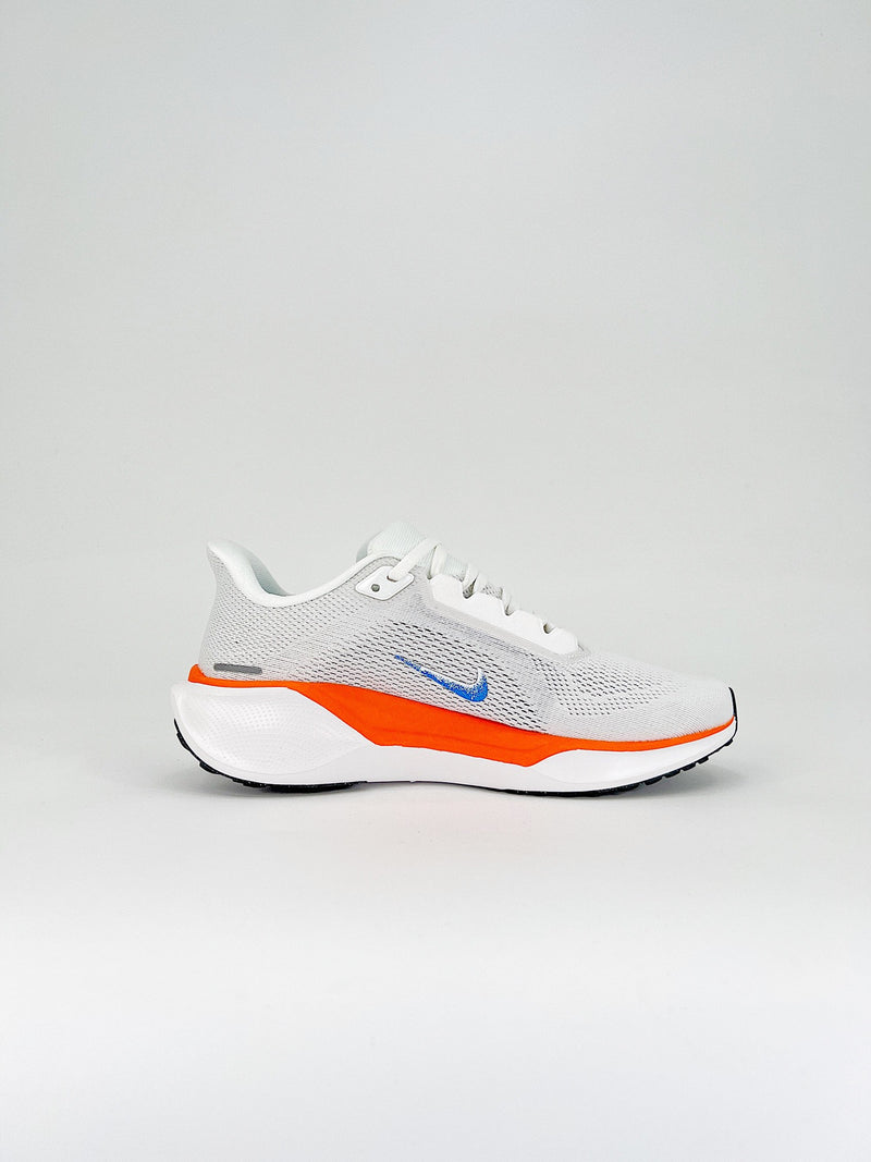 Nike Pegasus 41