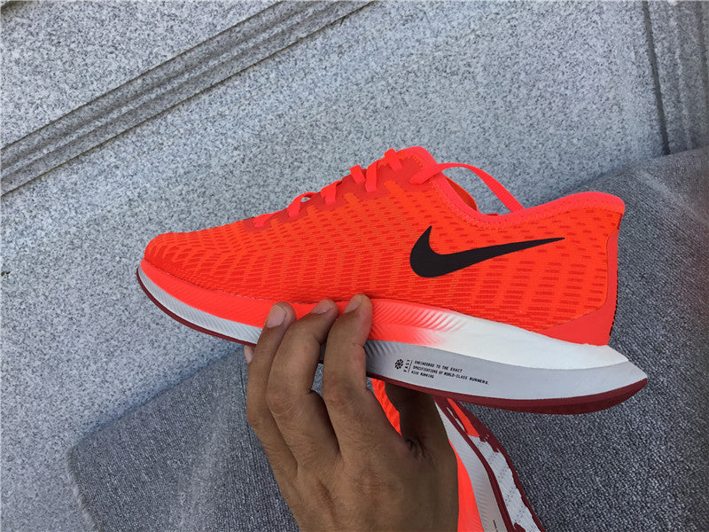 Nike Pegasus Turbo 2