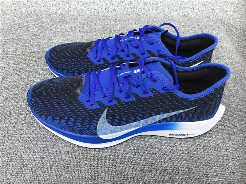 Nike Pegasus Turbo 2