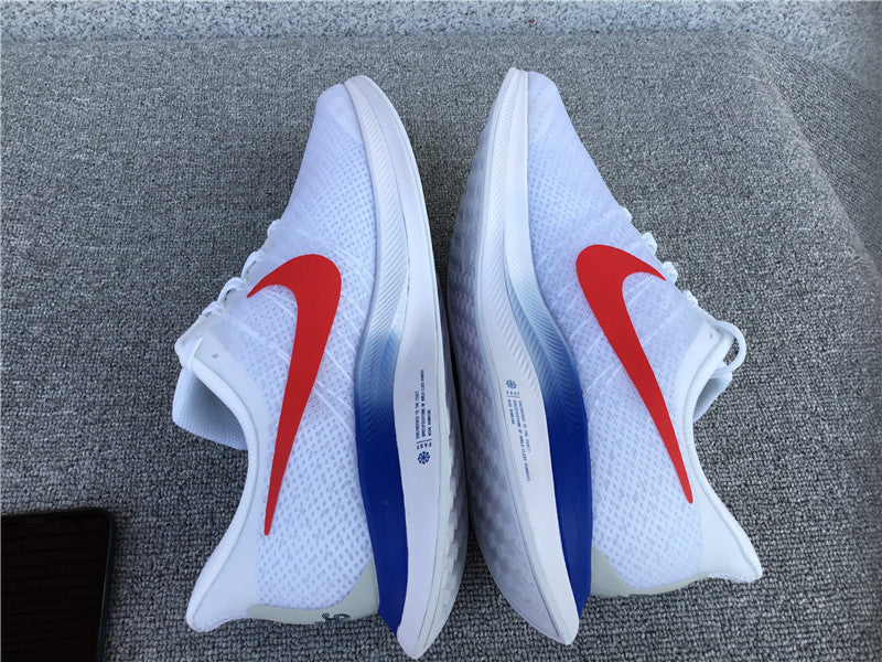 Nike Pegasus Turbo 2