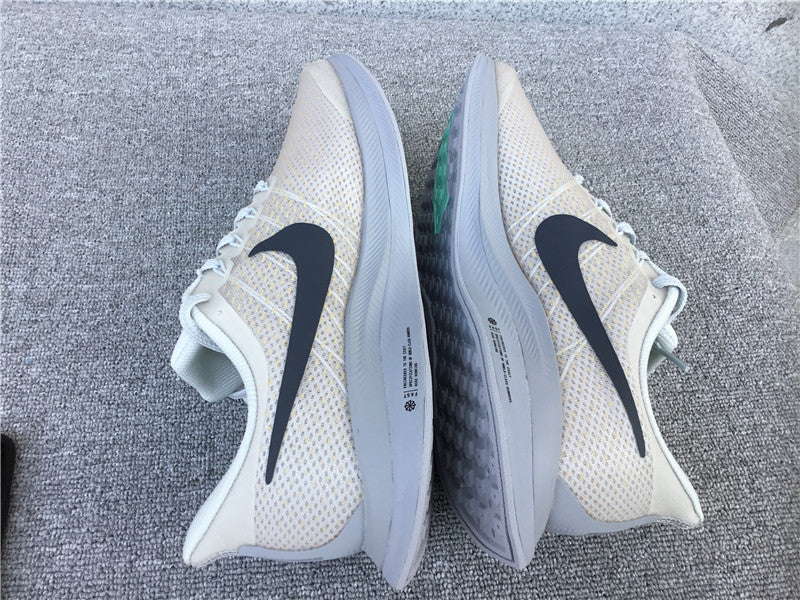 Nike Pegasus Turbo 2