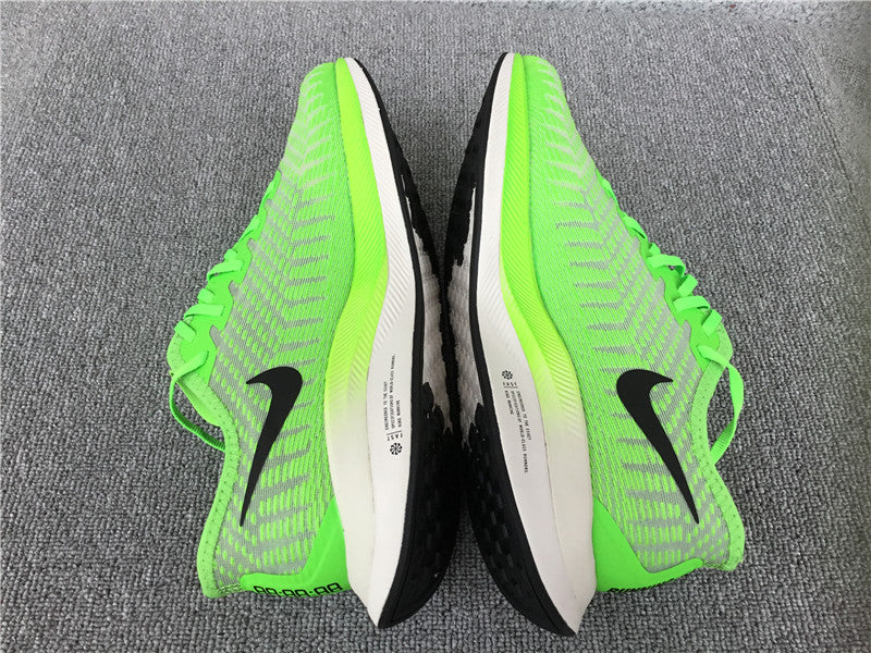 Nike Pegasus Turbo 2