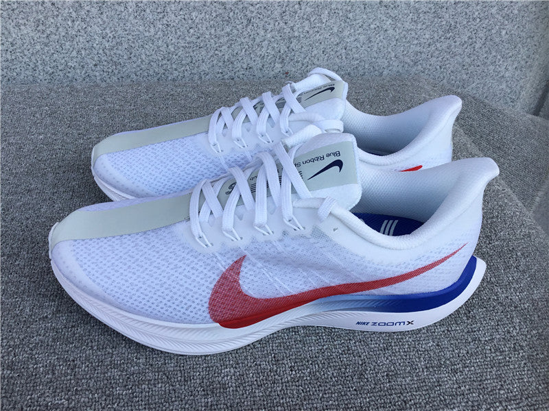 Nike Pegasus Turbo 2