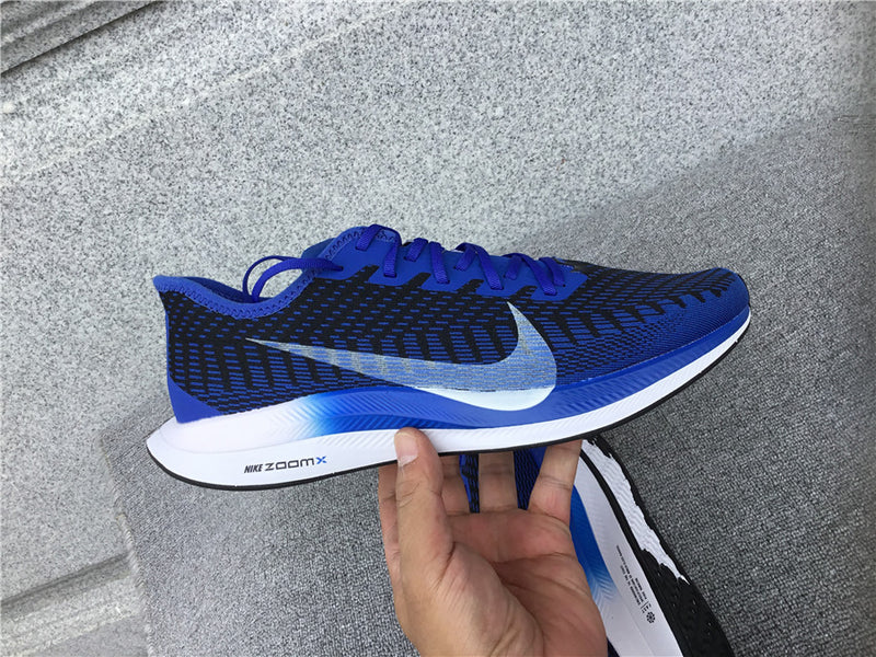 Nike Pegasus Turbo 2