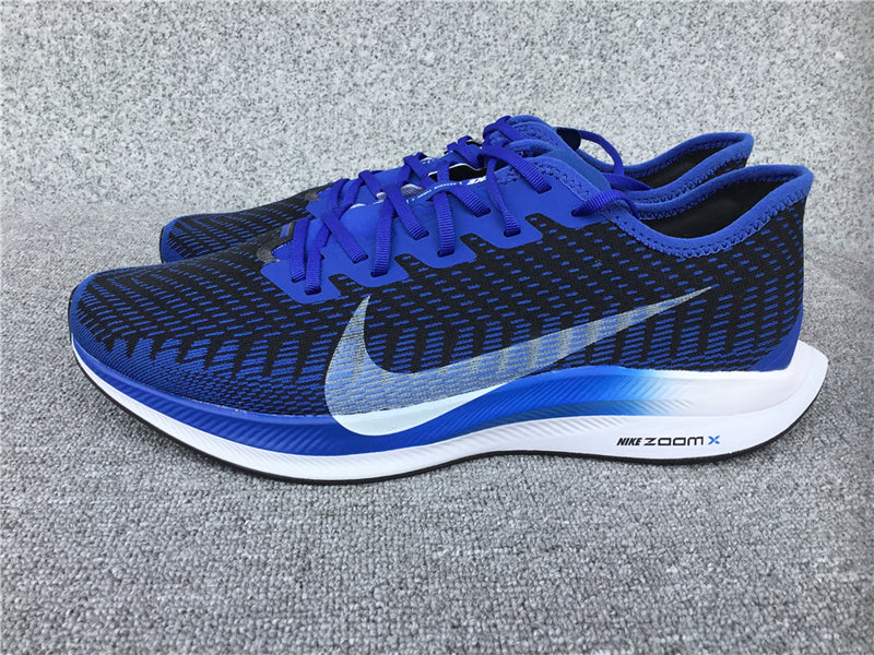 Nike Pegasus Turbo 2