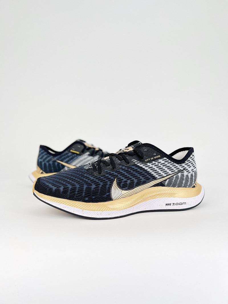 Nike Pegasus Turbo 2