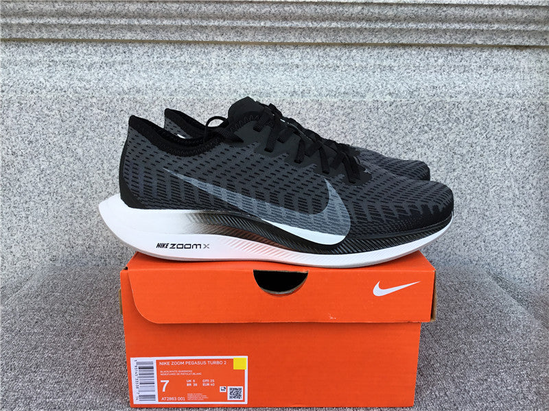 Nike Pegasus Turbo 2