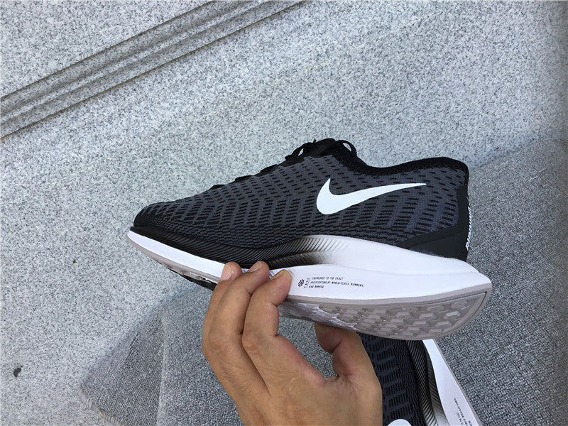 Nike Pegasus Turbo 2