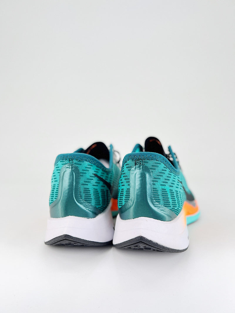 Nike Pegasus Turbo 2