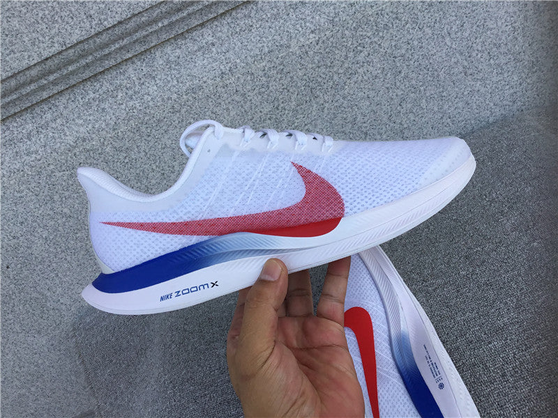 Nike Pegasus Turbo 2