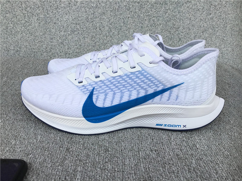 Nike Pegasus Turbo 2