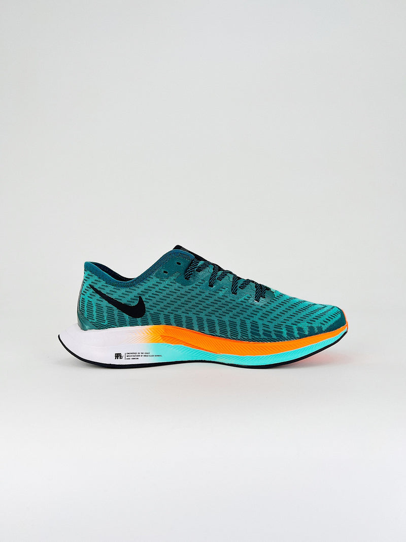 Nike Pegasus Turbo 2