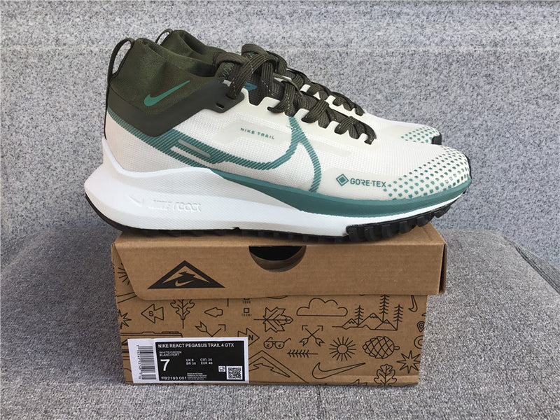 Nike Pegasus Trail 4 - Gore-tex