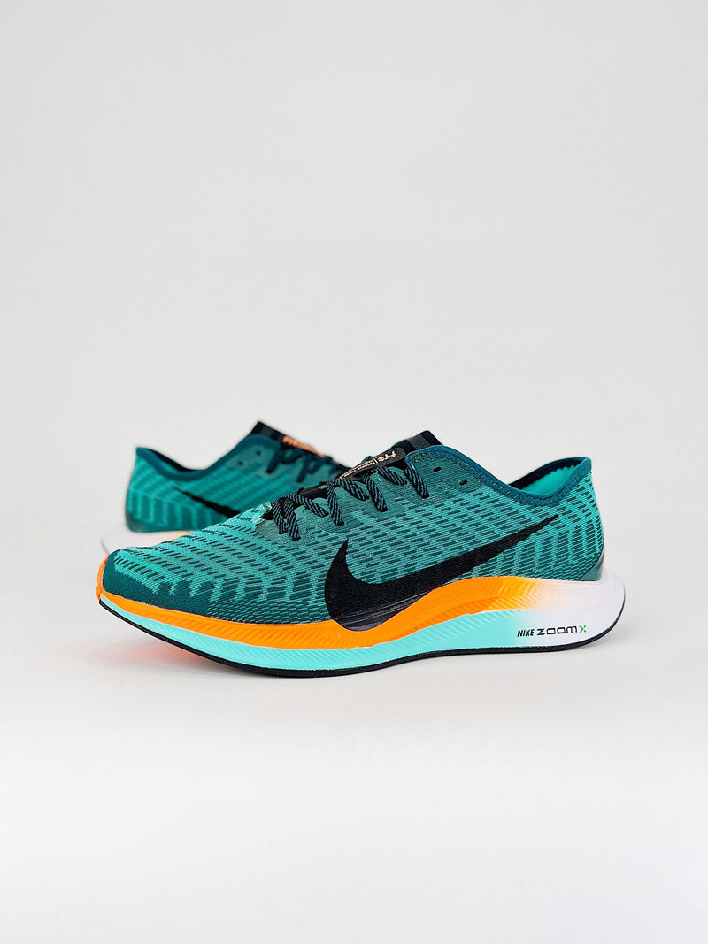 Nike Pegasus Turbo 2