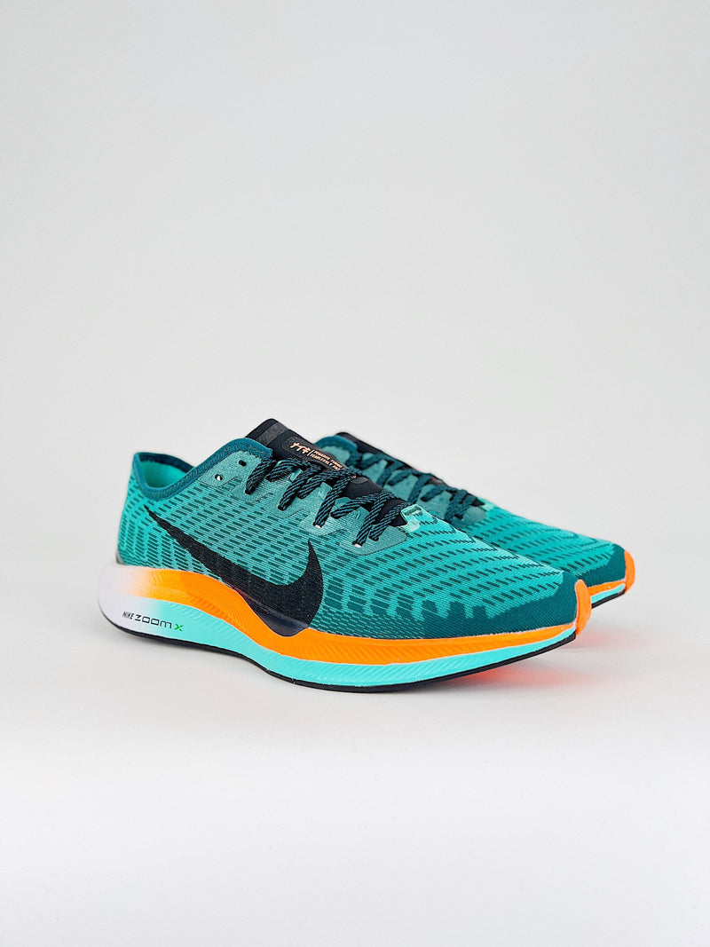 Nike Pegasus Turbo 2