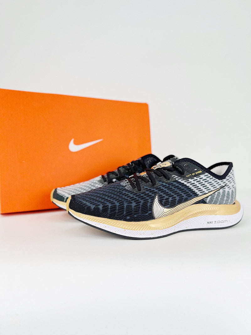 Nike Pegasus Turbo 2