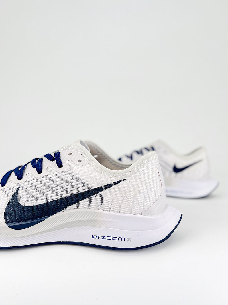 Nike Pegasus Turbo 2