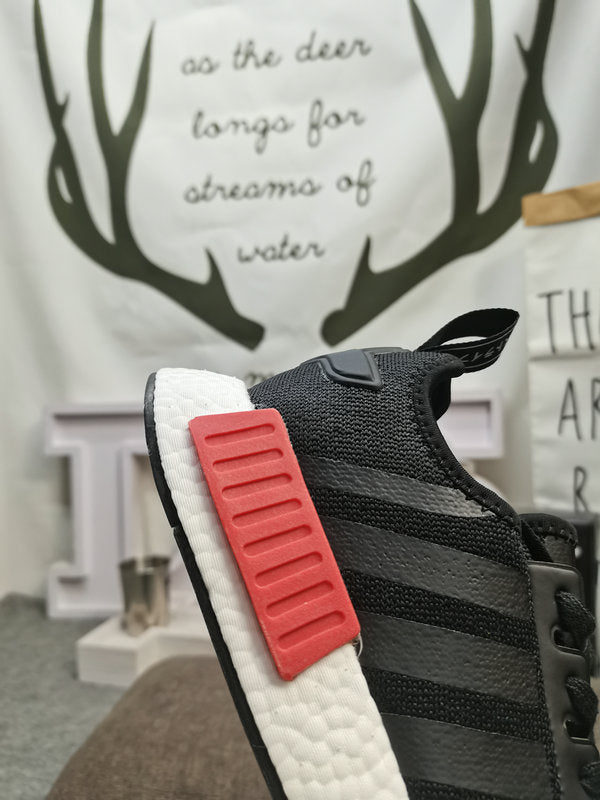 Adidas NMD R1