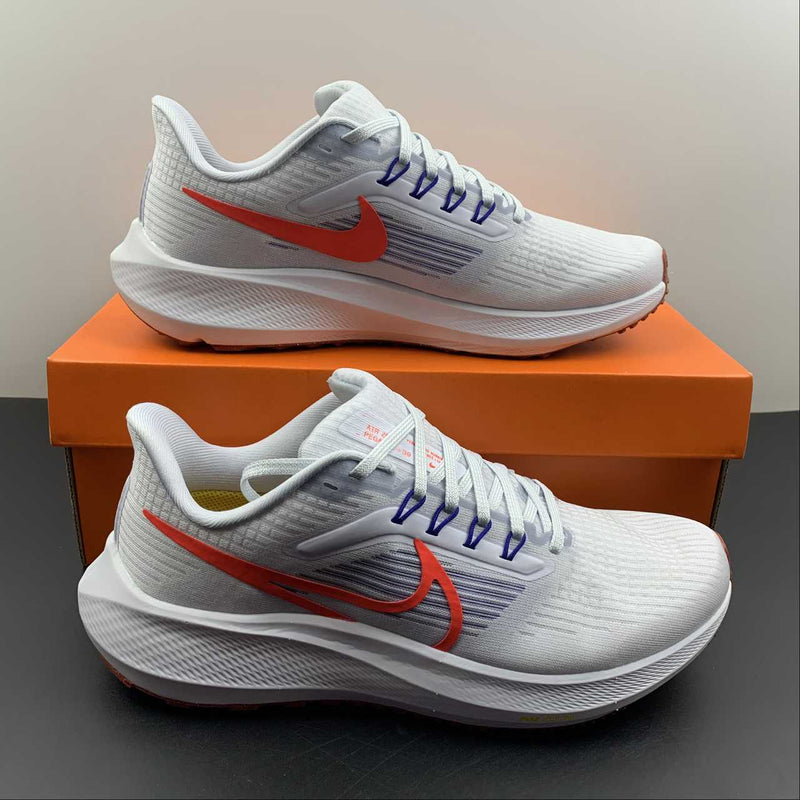 Nike Air Zoom Pegaso 39 