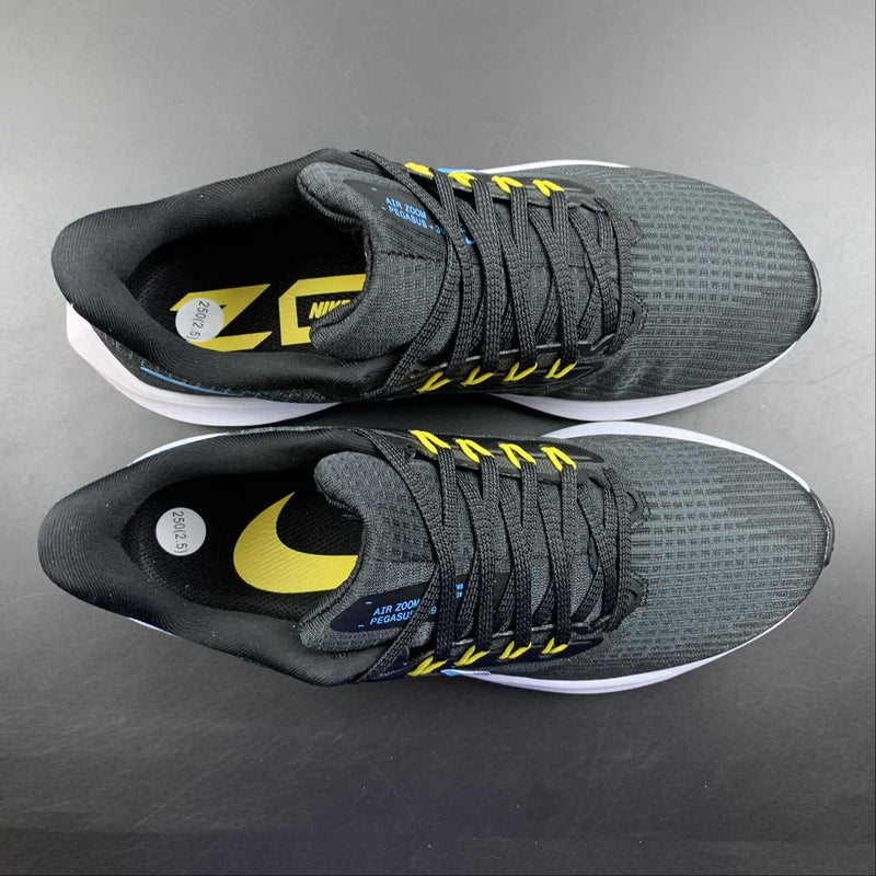 Nike Air Zoom Pegasus 39