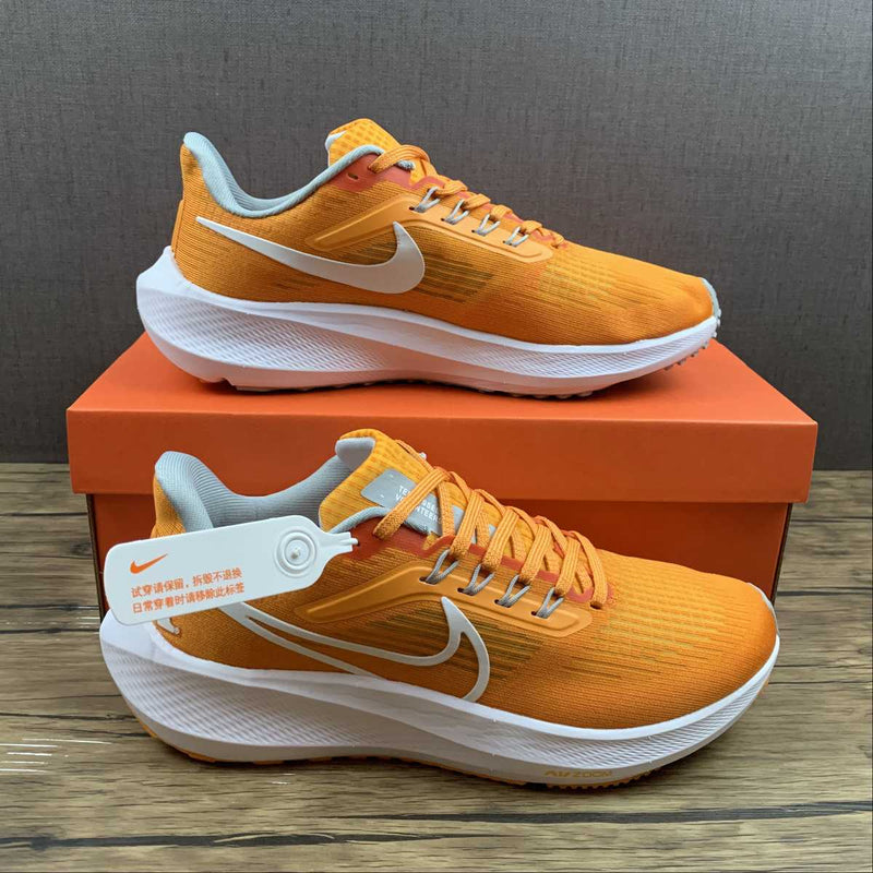 Nike Air Zoom Pegaso 39 