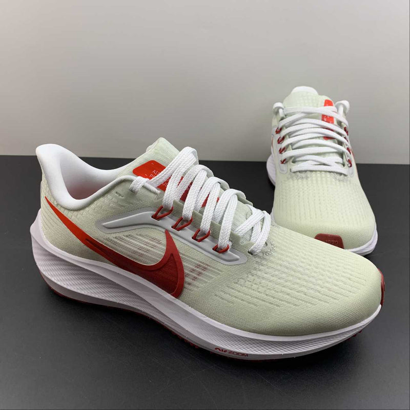 Nike Air Zoom Pegaso 39 