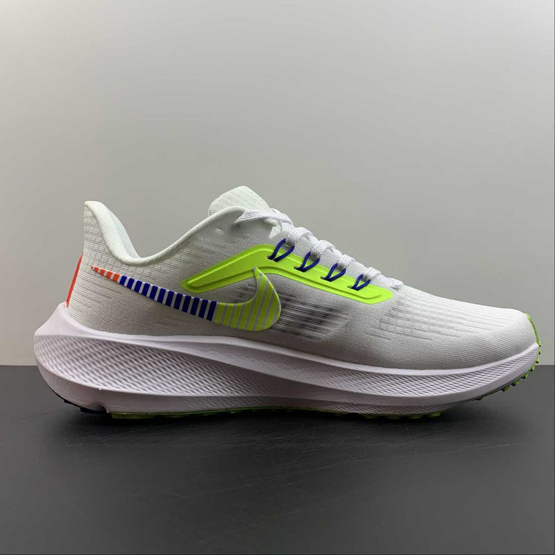 Nike Air Zoom Pegaso 39 