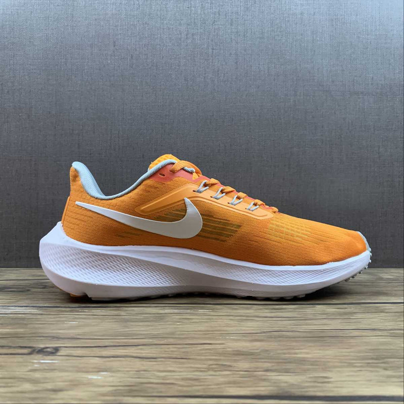 Nike Air Zoom Pegaso 39 