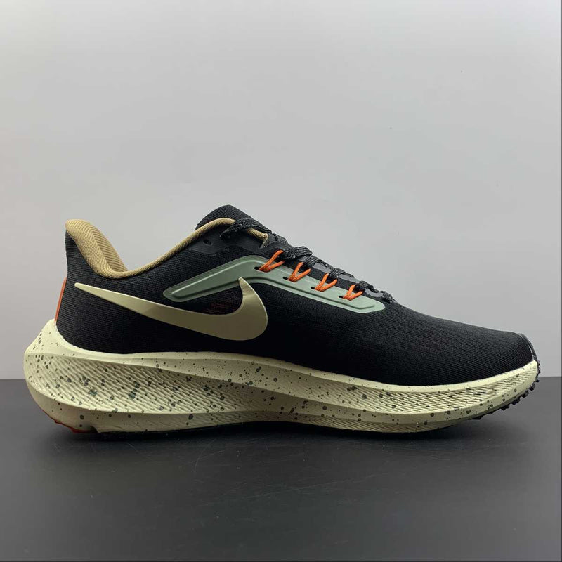 Nike Air Zoom Pegaso 39 