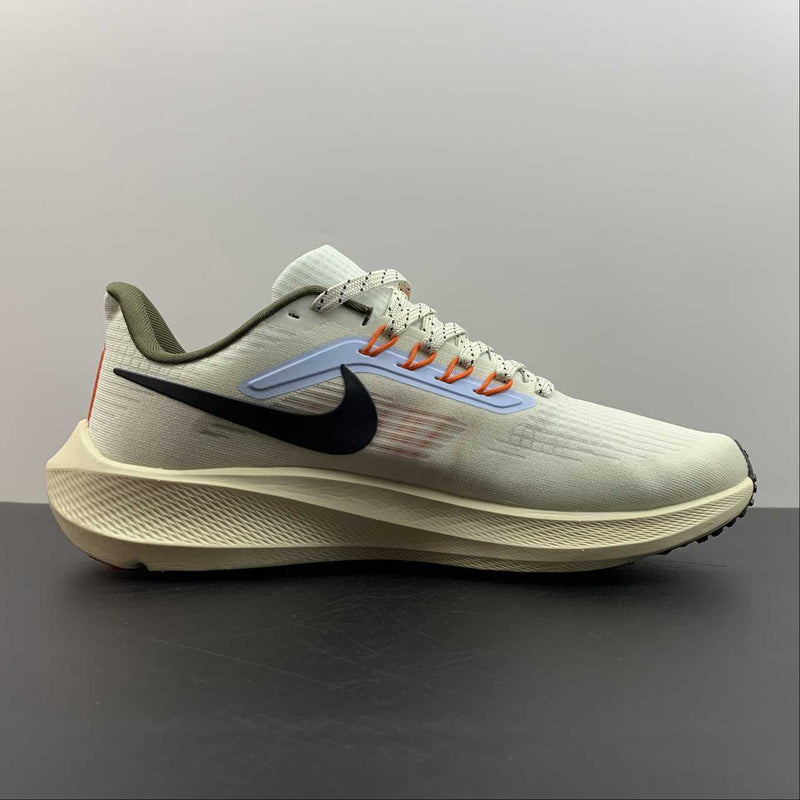 Nike Air Zoom Pegaso 39 