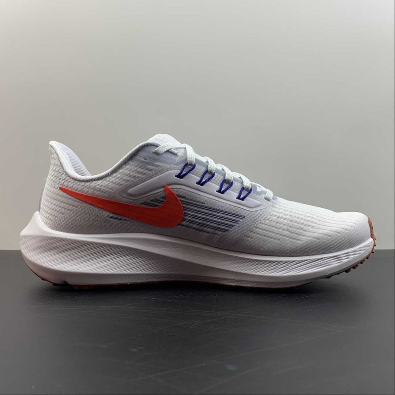 Nike Air Zoom Pegaso 39 