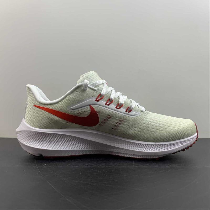 Nike Air Zoom Pegaso 39 