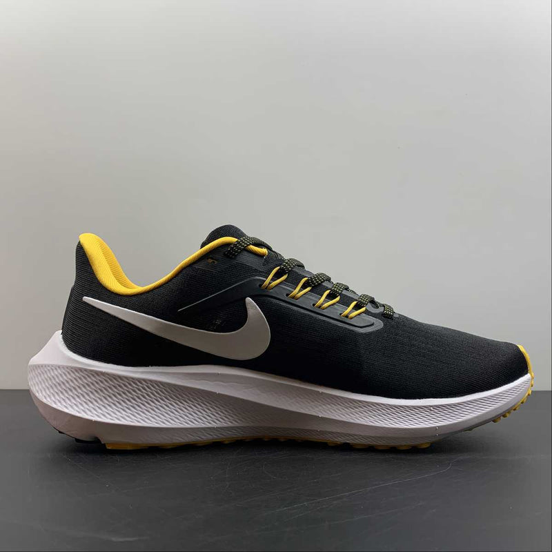 Nike Air Zoom Pegaso 39 