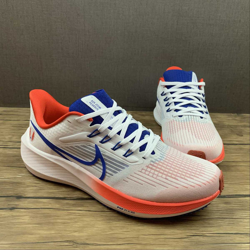 Nike Air Zoom Pegaso 39 