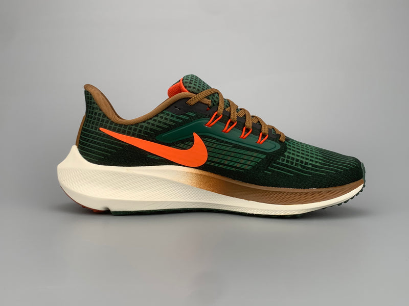 Nike Air Zoom Pegasus 39