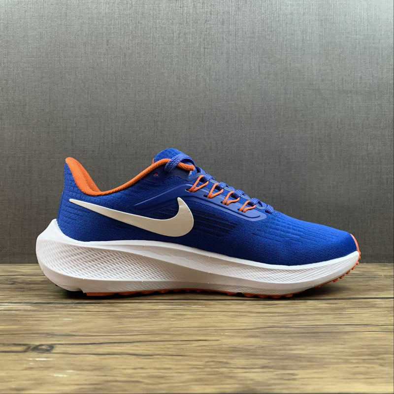 Nike Air Zoom Pegasus 39