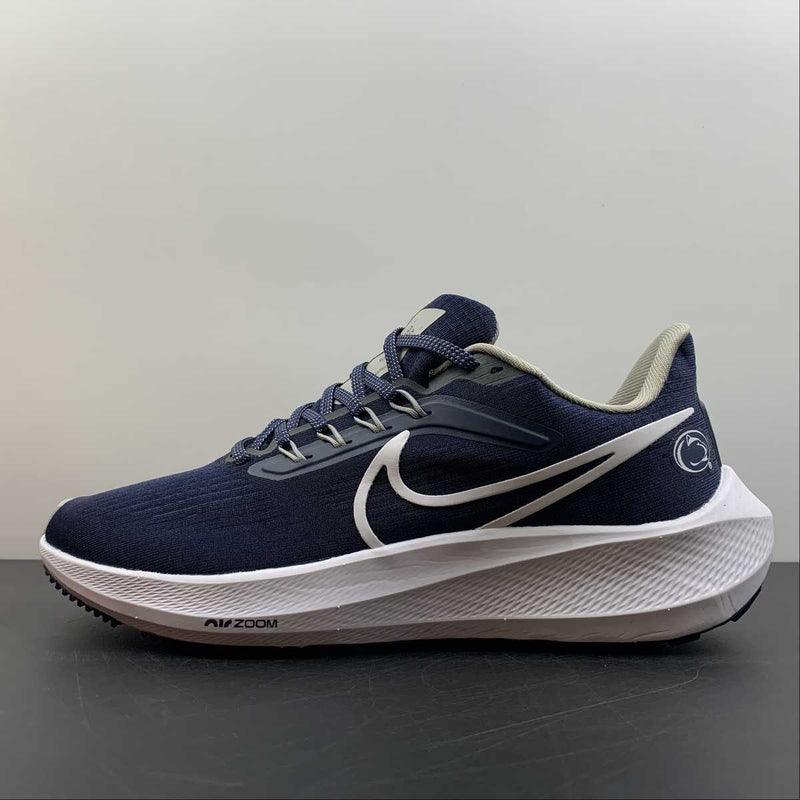 Nike Air Zoom Pegaso 39 