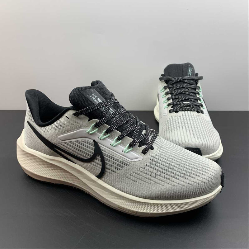 Nike Air Zoom Pegaso 39 