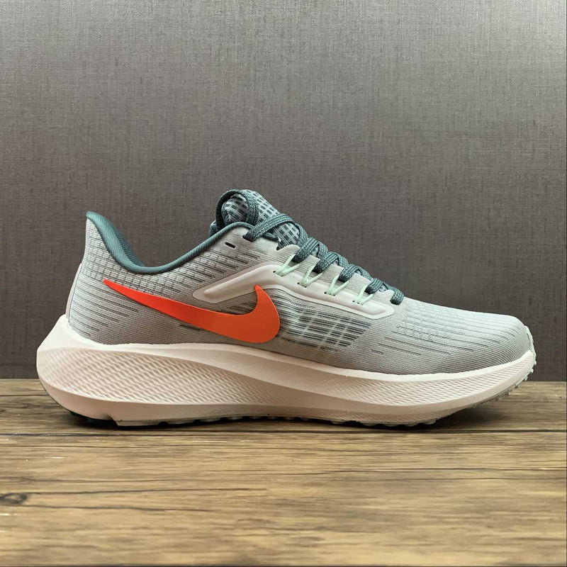 Nike Air Zoom Pegaso 39 