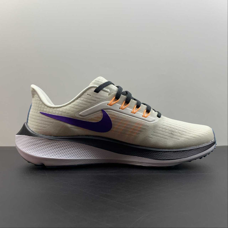 Nike Air Zoom Pegaso 39 