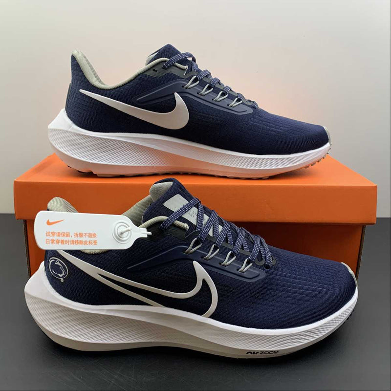 Nike Air Zoom Pegaso 39 