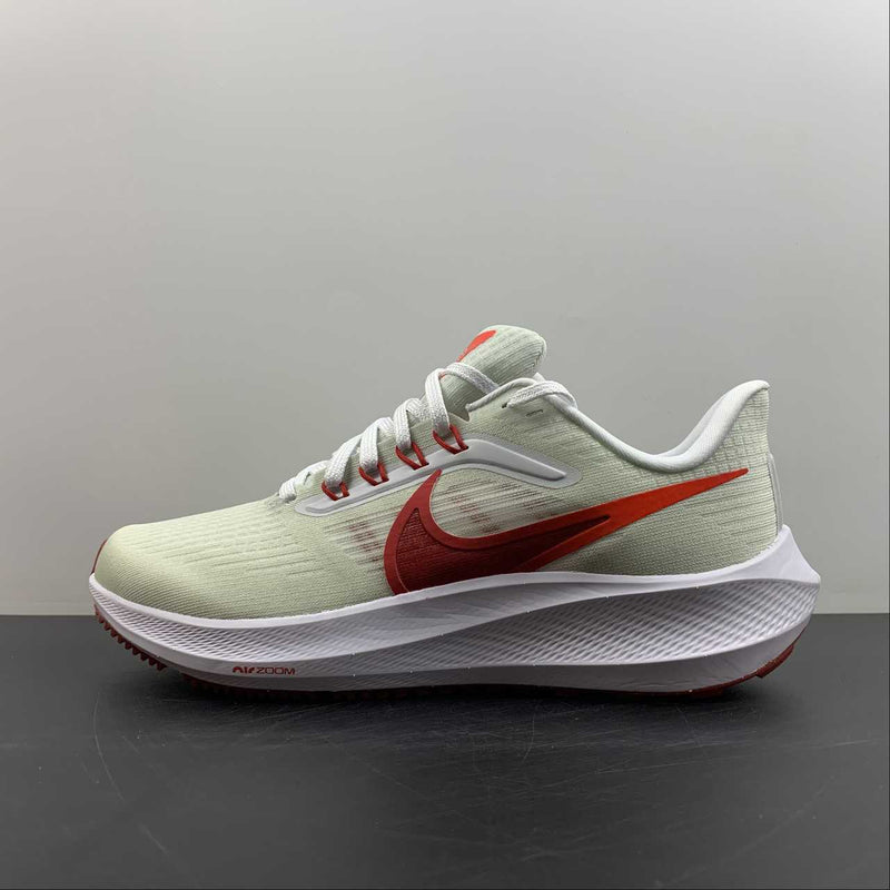 Nike Air Zoom Pegaso 39 