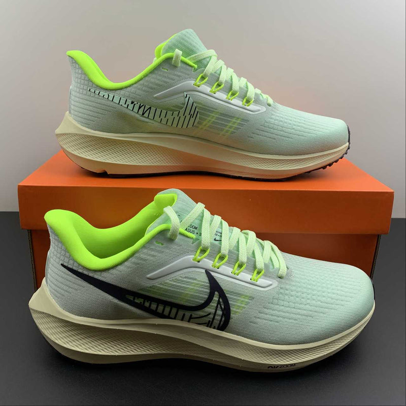 Nike Air Zoom Pegaso 39 