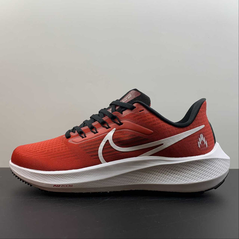 Nike Air Zoom Pegasus 39