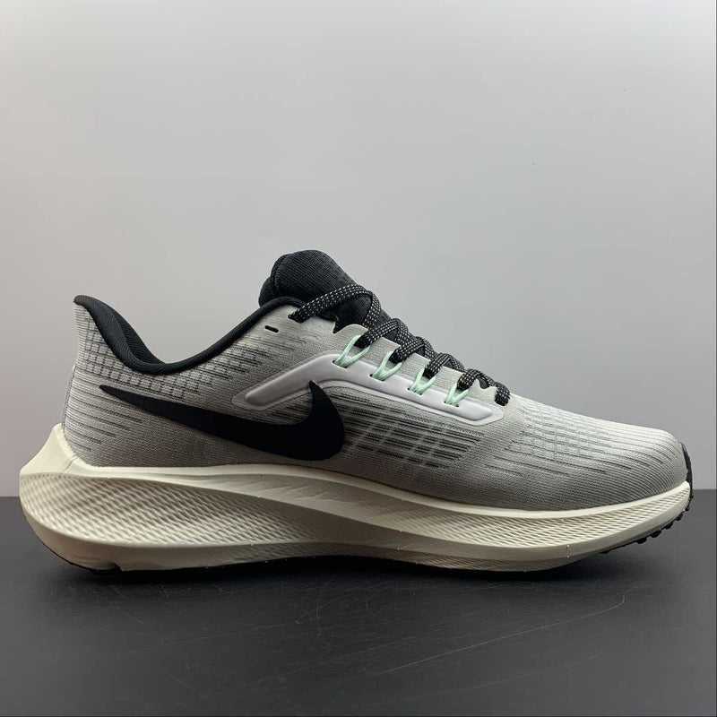 Nike Air Zoom Pegaso 39 