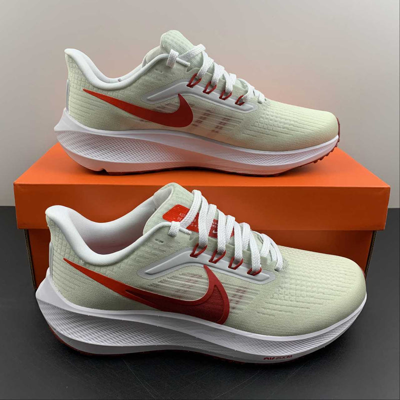 Nike Air Zoom Pegaso 39 