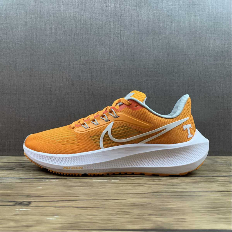 Nike Air Zoom Pegaso 39 